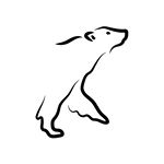 LinkinBio profile picture for @arcticresearchfoundation