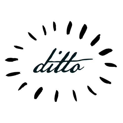 LinkinBio profile picture for @dittohistorical