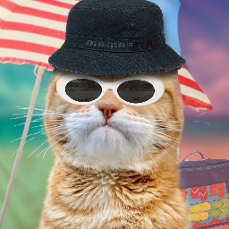 LinkinBio profile picture for @memesita.png