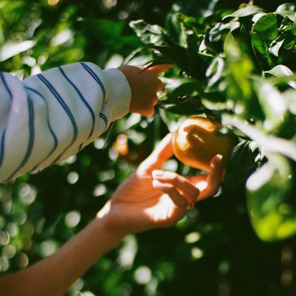 Linkin bio linkin-bio